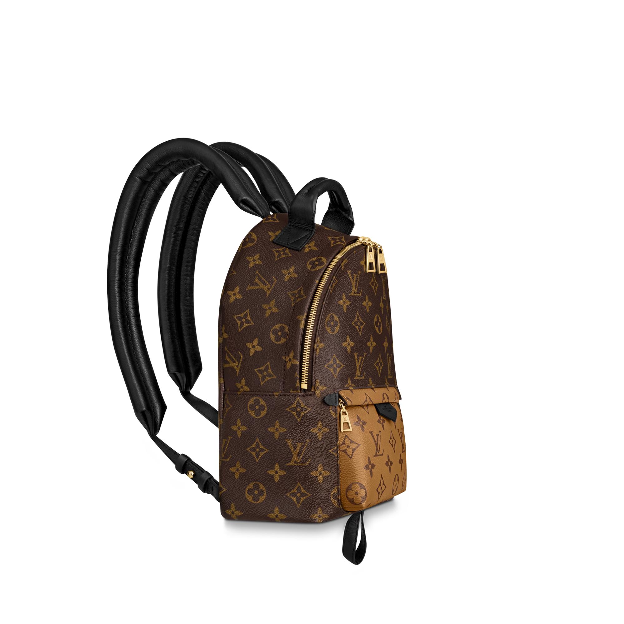 louis vuitton palm springs backpack mini price in india
