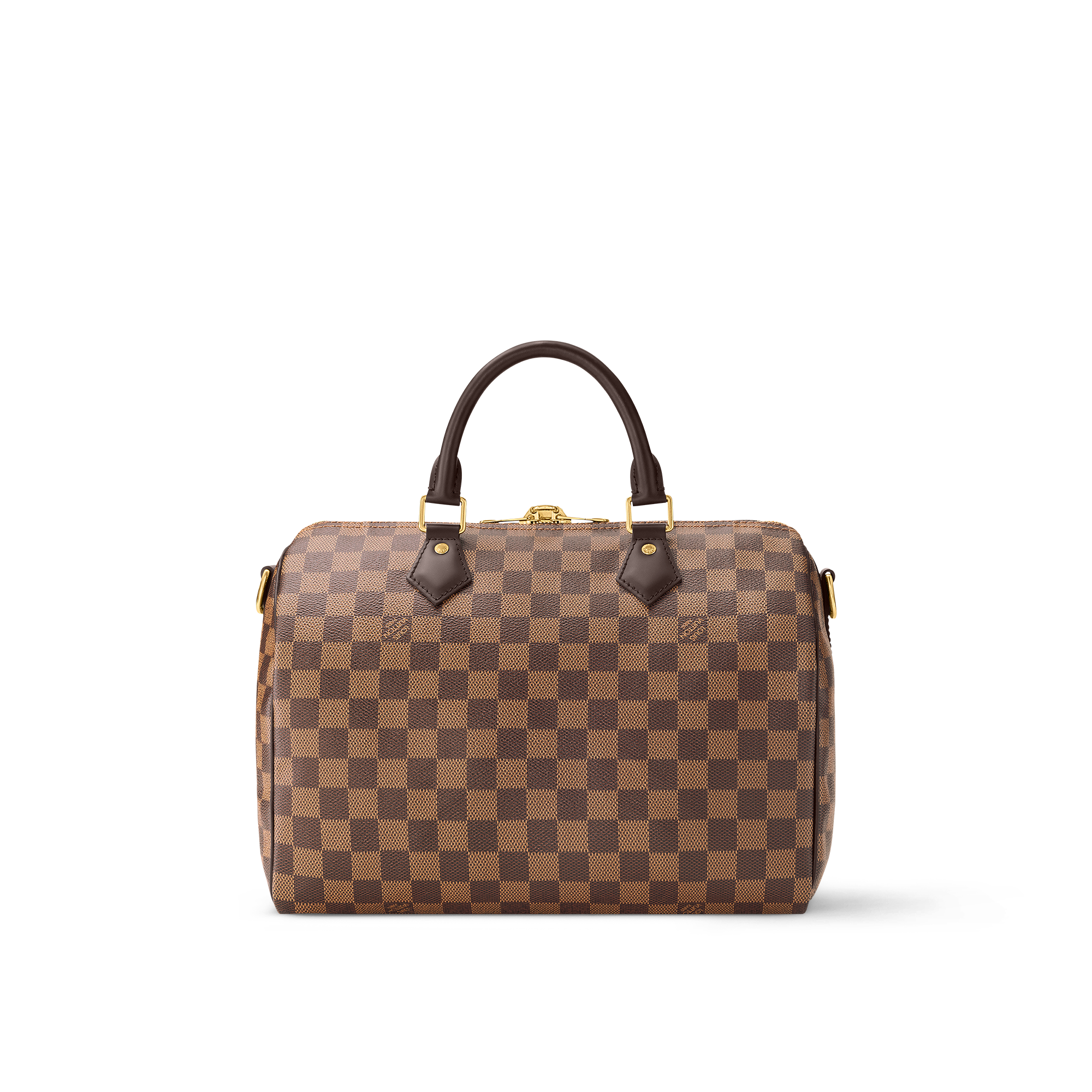 lv speedy bag