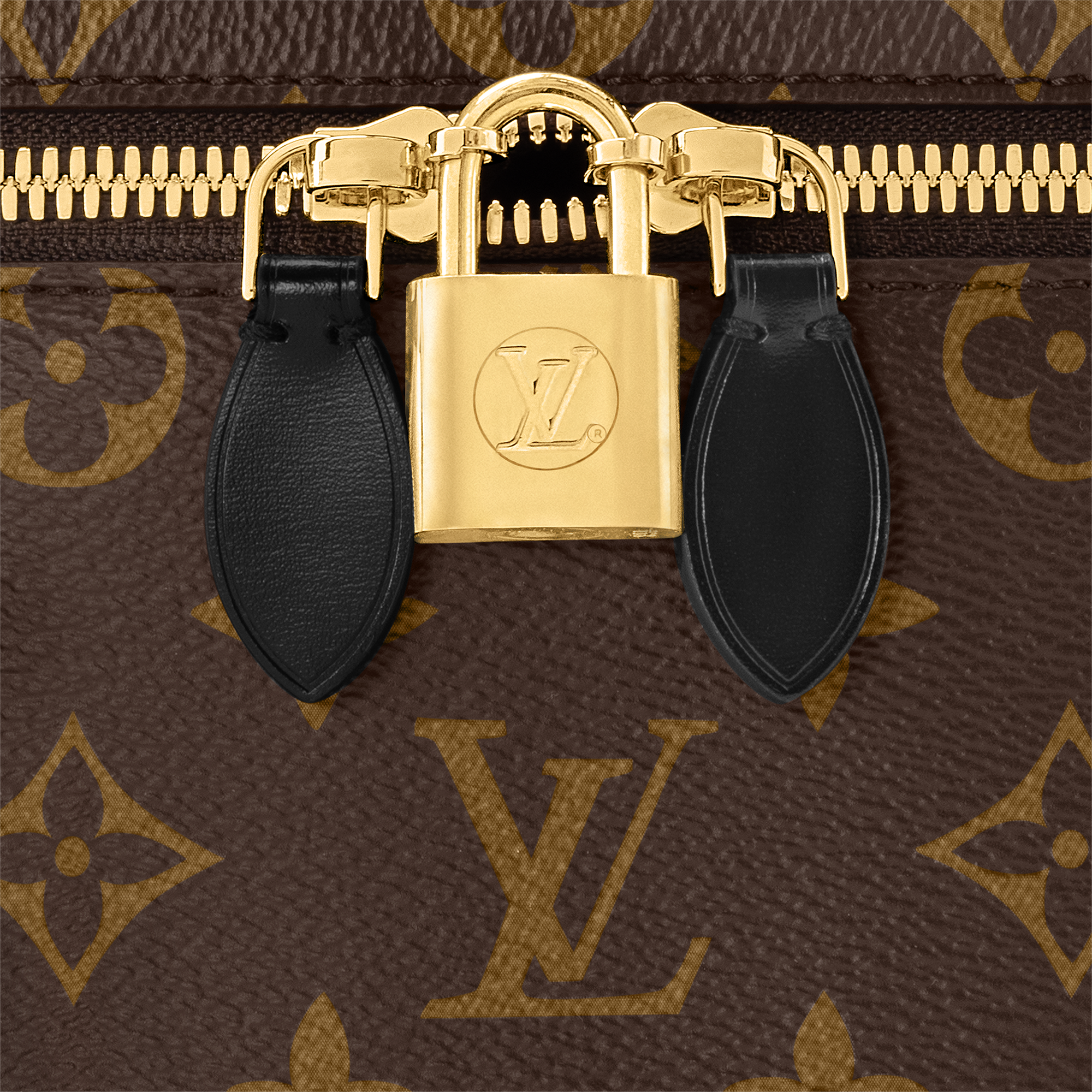 Vanity PM Monogram M45165 - Handbags | LOUIS VUITTON SINGAPORE